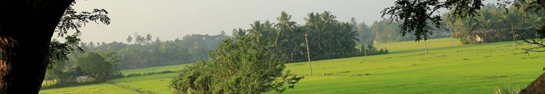 Tissamaharama